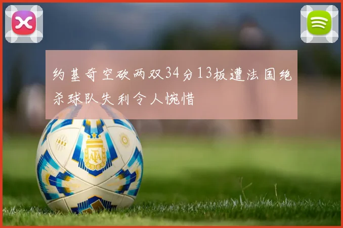 约基奇空砍两双34分13板遭法国绝杀球队失利令人惋惜